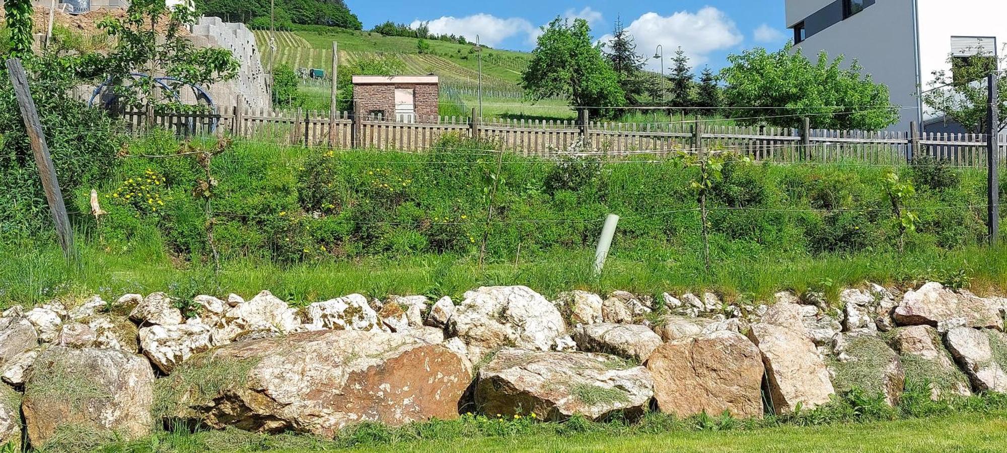 Huettenflair-Mosel Ferienwohnung Enkirch Zewnętrze zdjęcie
